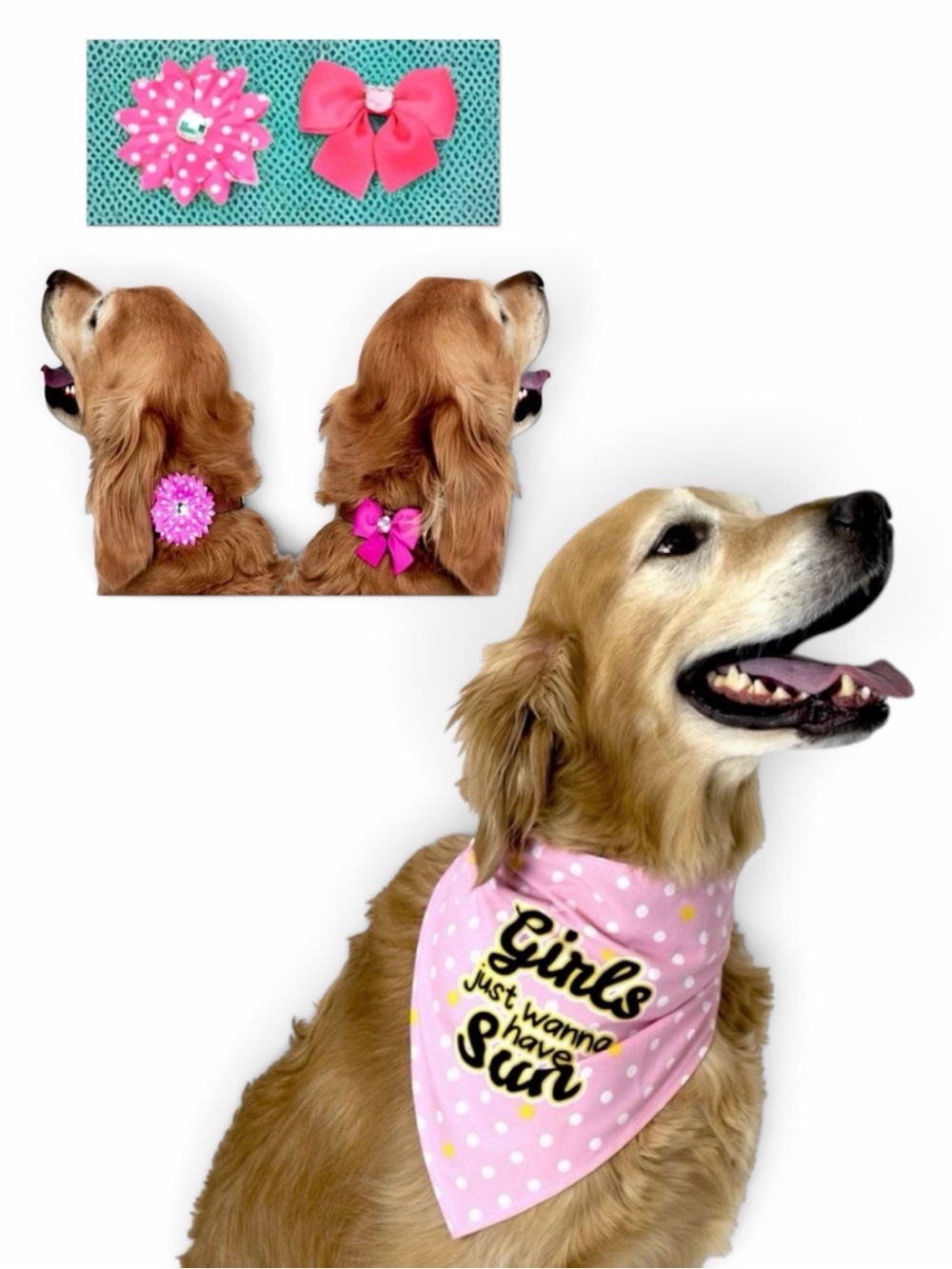 Vibrant Life Dog Girls Just Wanna Have Sun Bandana Set